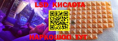 mdpv Новозыбков