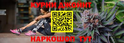крисы Новодвинск